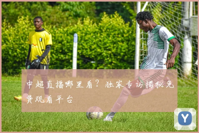中超直播哪里看?独家专访揭秘免费观看平台